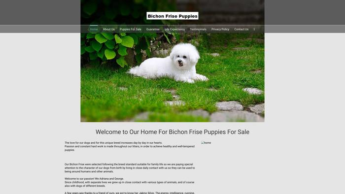 Amazingdachshundpups.online - Bichon Frise Puppy Scam Review