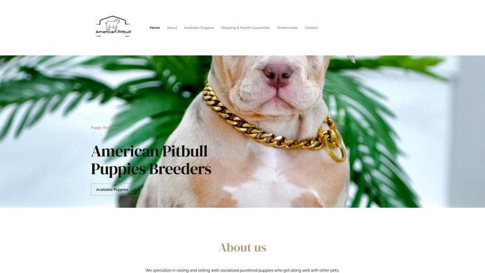 Americanpitbullbreeders.com - Pit Bull Puppy Scam Review