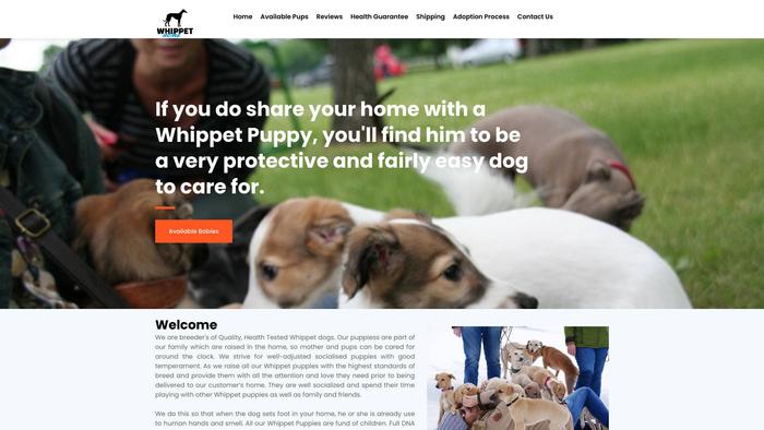 Amorettewhippethome.com - Whippet Puppy Scam Review