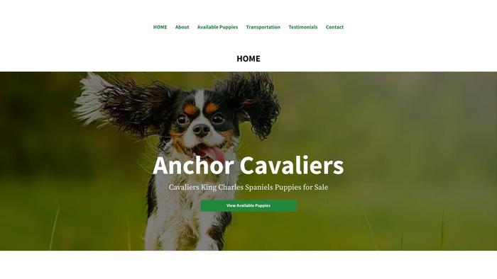 Anchorcavaliers.com - Cavalier King Charles Spaniel Puppy Scam Review