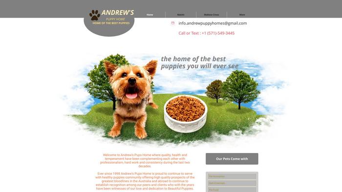 Andrewpuppyhome.com - French Bulldog Puppy Scam Review