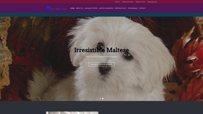 Anfreimaltesehome.com - Maltese Puppy Scam Review