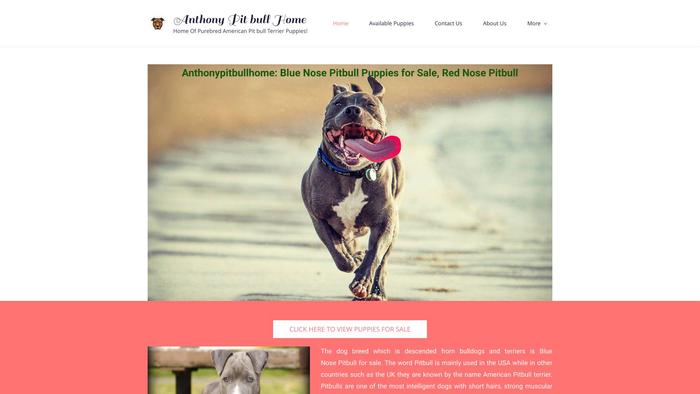 Anthonypitbullhome.com - Pit Bull Puppy Scam Review