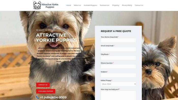 Attractiveyorkiepuppies.com - Yorkshire Terrier Puppy Scam Review