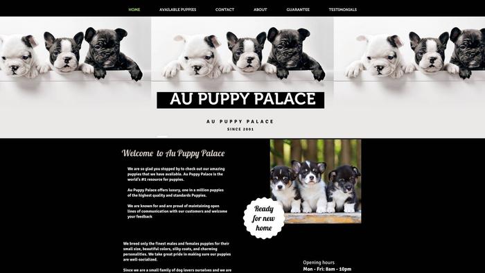 Aupuppypalace.com - Australian Shepherd Puppy Scam Review