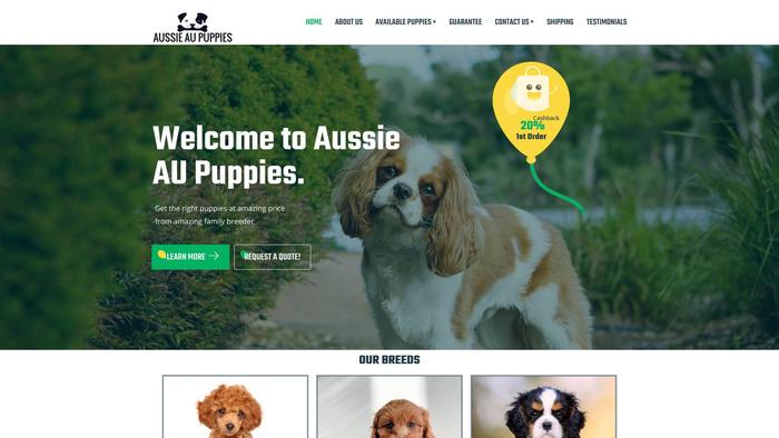 Aussie-au-puppy.com - Australian Shepherd Puppy Scam Review