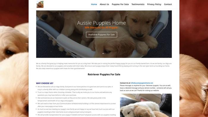 Aussiepuppieshome.net - Australian Shepherd Puppy Scam Review