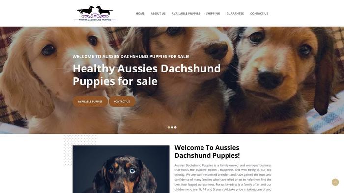 Aussiesdachshundpuppy.com - Australian Shepherd Puppy Scam Review