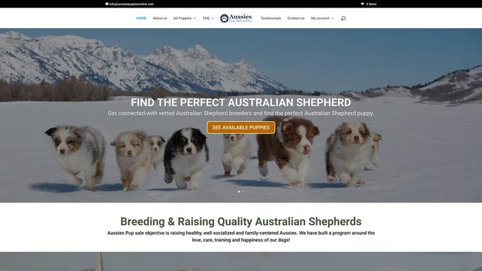 Aussiespuppiesonline.com - Australian Shepherd Puppy Scam Review