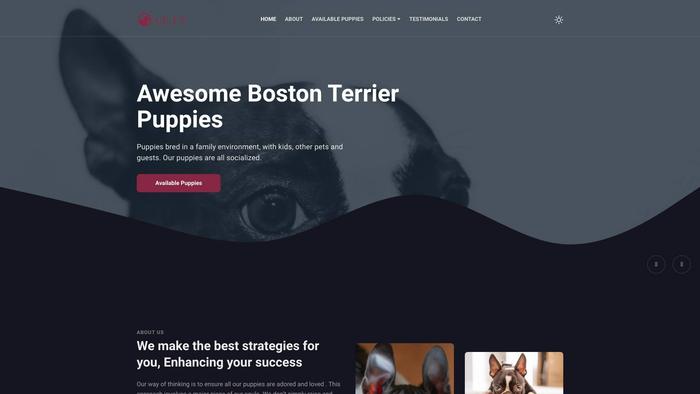 Awesomebostonterrierpupies.com - Boston Terrier Puppy Scam Review