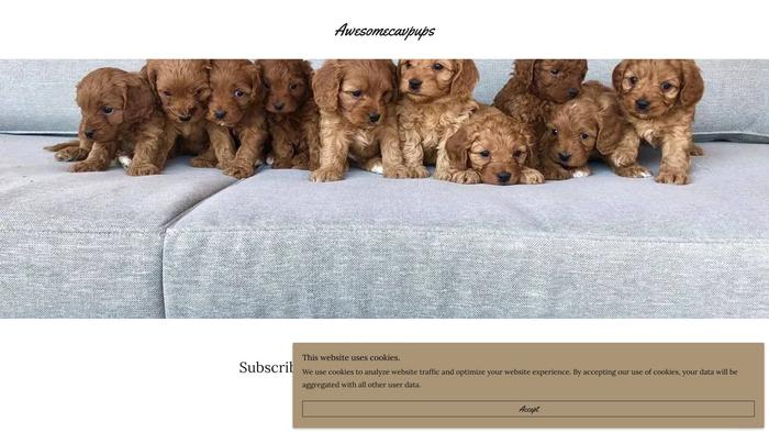 Awesomecavpups21.com - Cavapoo Puppy Scam Review