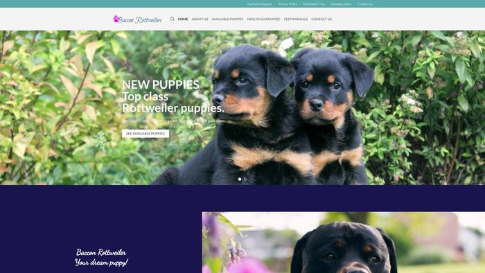 Bacconrottweilers.com - Rottweiler Puppy Scam Review