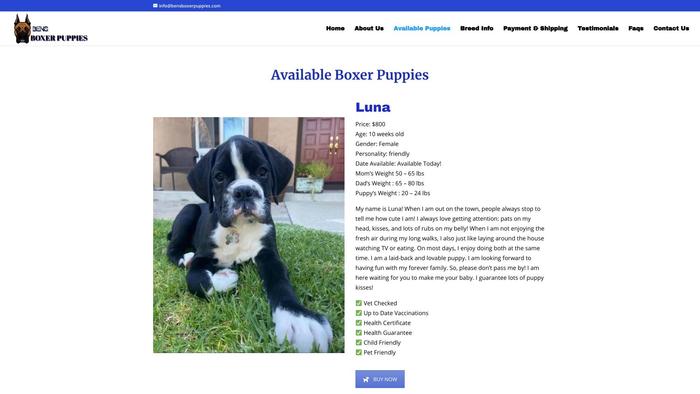 Bensboxerpuppies.com - Boxer Puppy Scam Review