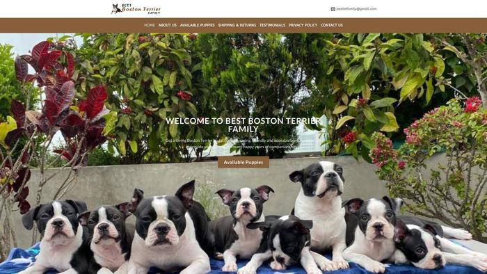 Bestbostonterrierfamily.com - Boston Terrier Puppy Scam Review