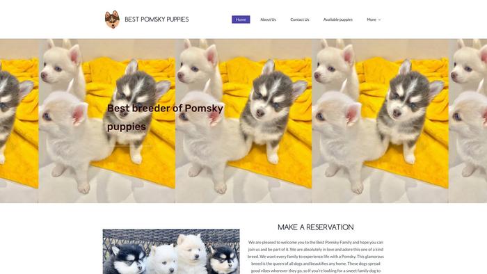 Bestpomskypuppieshome.com - Pomeranian Puppy Scam Review