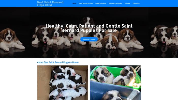 Bestsaintbernardpupshome.com - Saint Bernard Puppy Scam Review