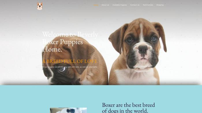 Beverlyboxers.com - Boxer Puppy Scam Review