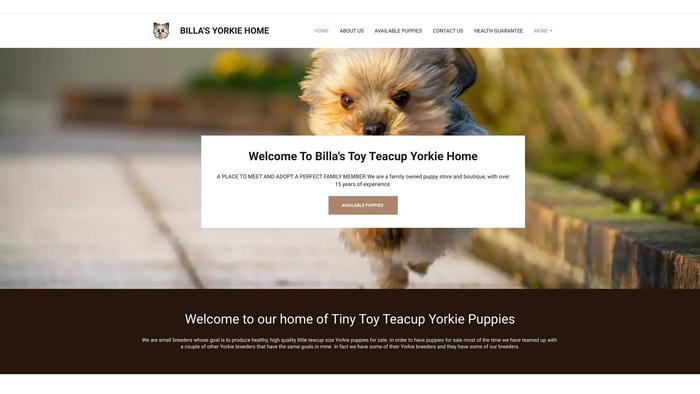 Billasyorkiepuppies.com - Yorkshire Terrier Puppy Scam Review