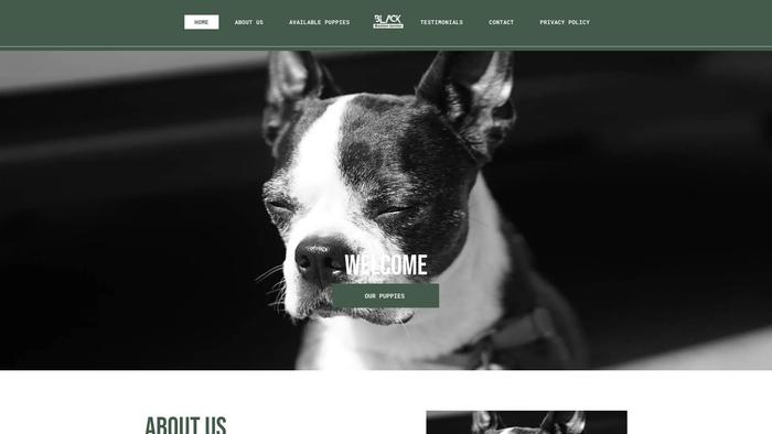 Blackbostonterrier.com - Terrier Puppy Scam Review