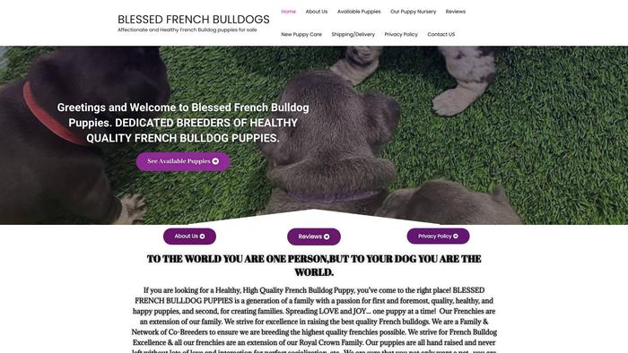 Blessedfrenchbulldogs.com - French Bulldog Puppy Scam Review