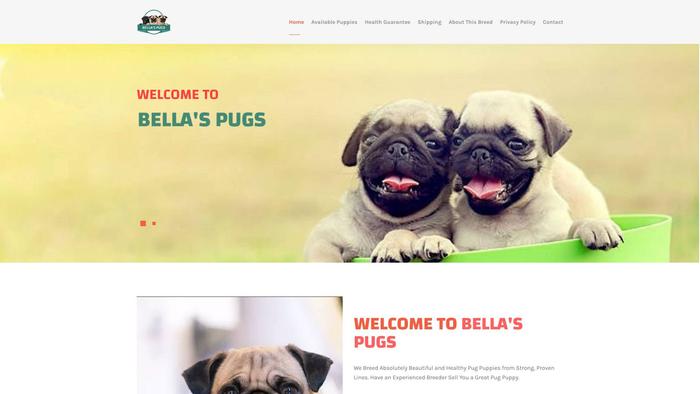 Blpugs.online - Pug Puppy Scam Review