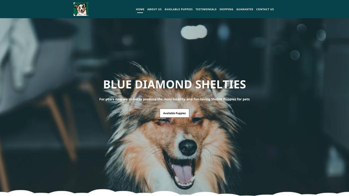 Bluediamondshelties.com - Sheltie Puppy Scam Review