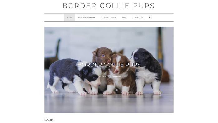 Bordercolliepets.com - Bordercollie Puppy Scam Review