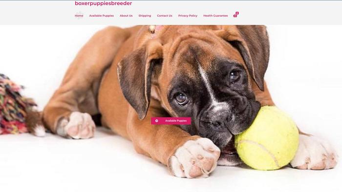 Boxerpuppiesbreeder.com - Boxer Puppy Scam Review