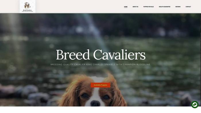 Breedcavaliers.com - Cavalier King Charles Spaniel Puppy Scam Review