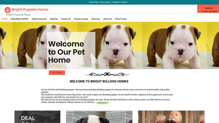 Brightbulldoghome.online - Bulldog Puppy Scam Review