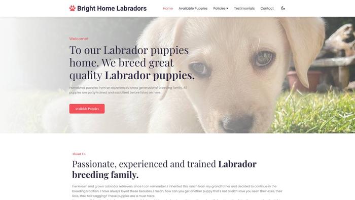 Brighthomelabradors.com - Labrador Puppy Scam Review