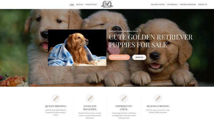 Brilliantgoldenretrieverhome.com - Golden Retriever Puppy Scam Review