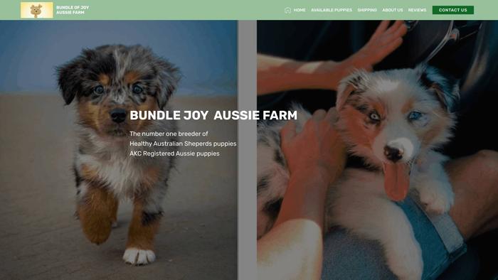 Bundleofjoyaussiefarm.com - Australian Shepherd Puppy Scam Review