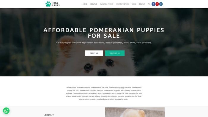 Buypomeranianpups.com - Pomeranian Puppy Scam Review