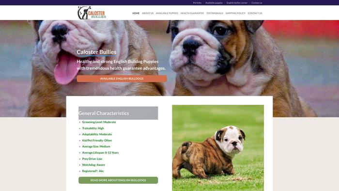 Calosterbullies.com - English Bulldog Puppy Scam Review