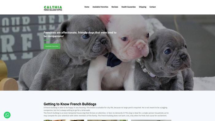 Calthiafrenchbulldogpuppies.com - French Bulldog Puppy Scam Review