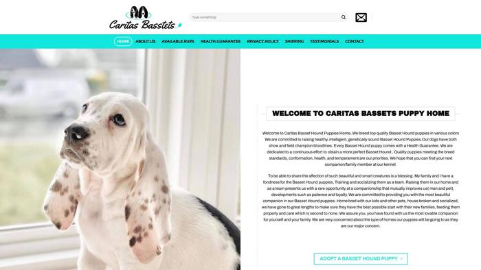 Caritasbassets.com - Bassethound Puppy Scam Review