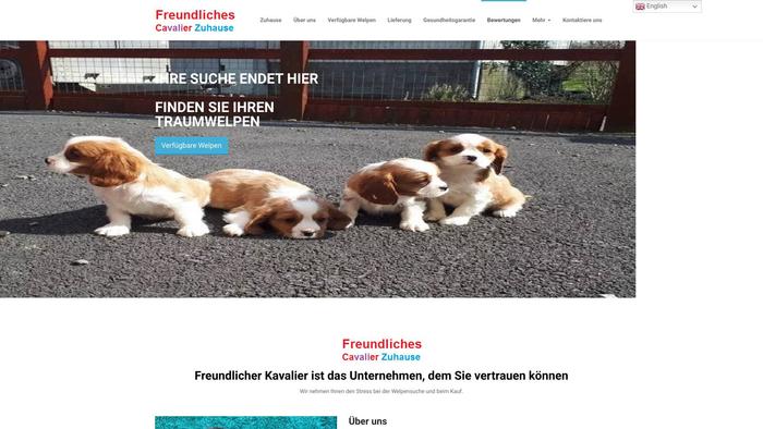 Cavalier-kc-welpen.com - Cavalier King Charles Spaniel Puppy Scam Review