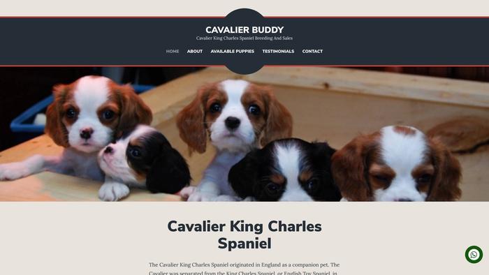 Cavalierbuddy.com - Cavalier King Charles Spaniel Puppy Scam Review