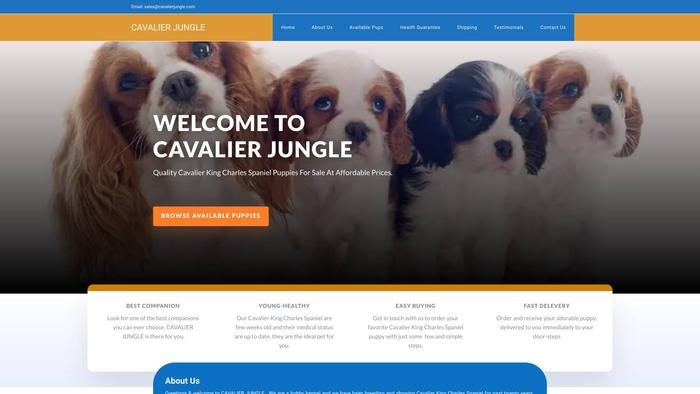 Cavalierjungle.com - Cavalier King Charles Spaniel Puppy Scam Review