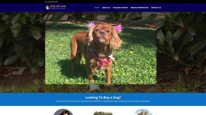 Cavalierkingcharlesdogs.com - Cavalier King Charles Spaniel Puppy Scam Review