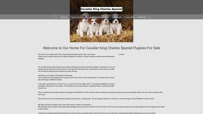 Cavalierkingcharlespups.icu - Cavalier King Charles Spaniel Puppy Scam Review