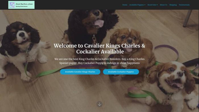 Cavalierkingscharlesavailable.com - Cavalier King Charles Spaniel Puppy Scam Review