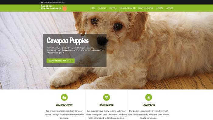 Cavapoopuppiesonsale.com - Cavapoo Puppy Scam Review