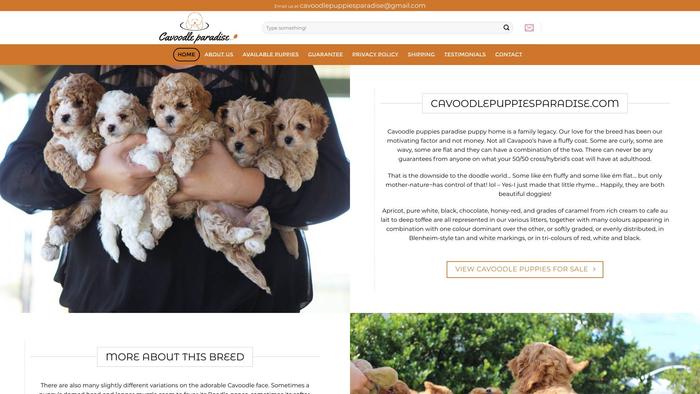 Cavoodlepuppiesparadise.com - Cavapoo Puppy Scam Review