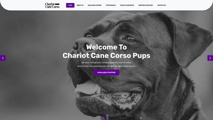 Chariotcanecorsopups.com - Cane Corso Puppy Scam Review