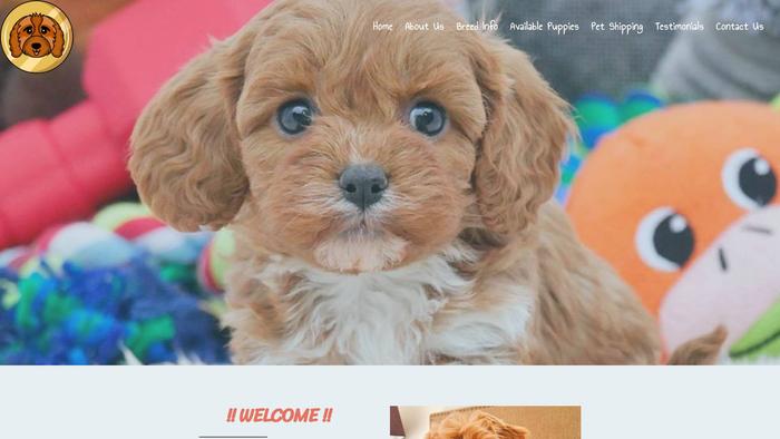 Charmingcavapoo.com - Cavapoo Puppy Scam Review