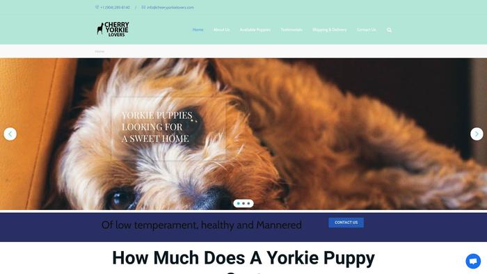 Cheeryyorkielovers.com - Yorkshire Terrier Puppy Scam Review