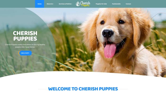 Cherishpurebredpuppies.com - Yorkshire Terrier Puppy Scam Review