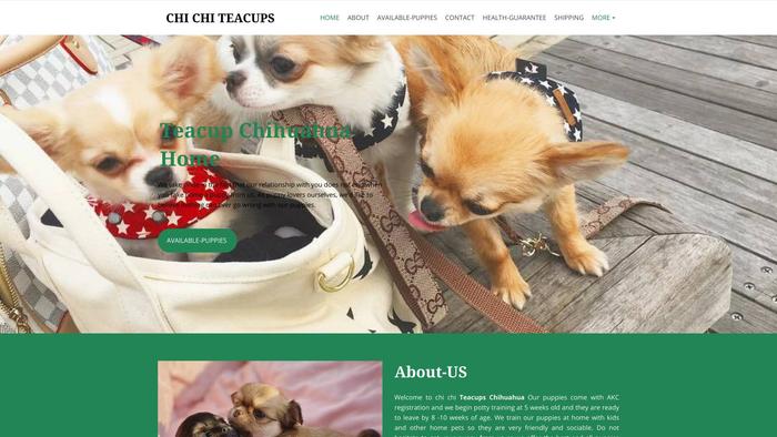 Chichicteacupchihuahuahome.com - Chihuahua Puppy Scam Review